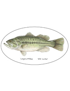 Pescador On The Fly Largemouth Decal in Largemouth